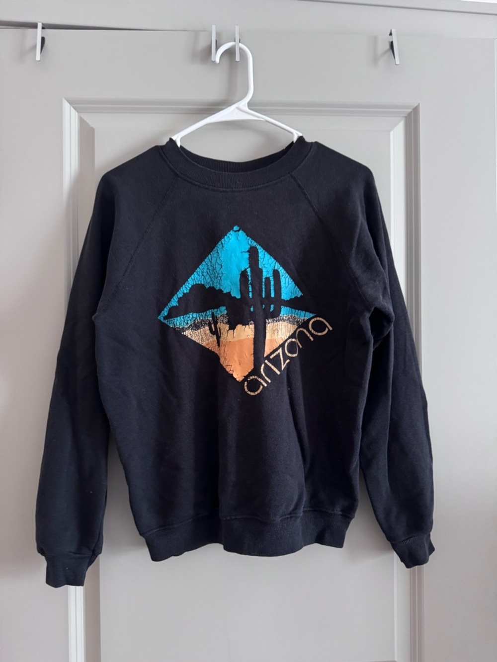 Hanes Black Crewneck Sweatshirt with Blue and Orange Desert Graphic